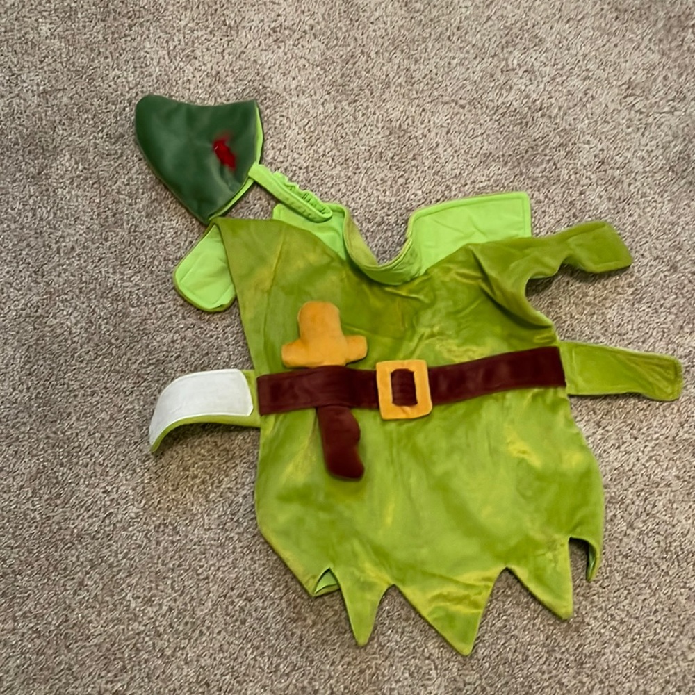 Small dog Robin Hood costume with hat